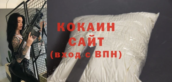 мдпв Бородино