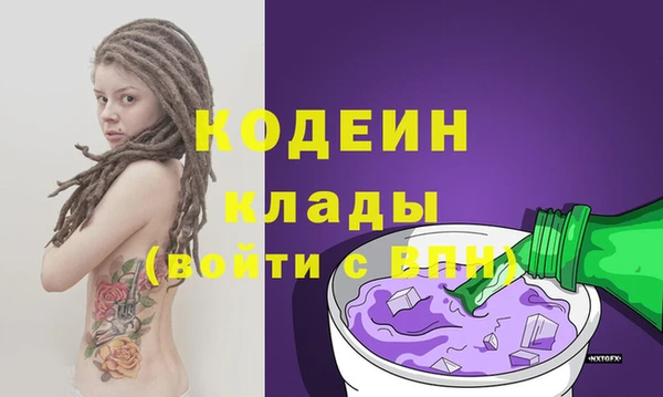 шишки Беломорск