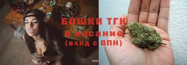 шишки Беломорск