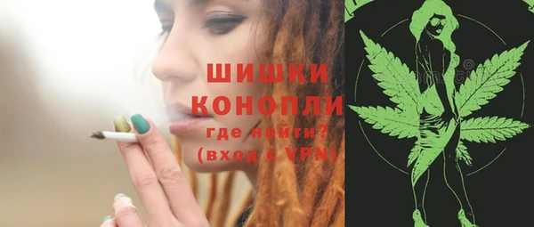 шишки Беломорск