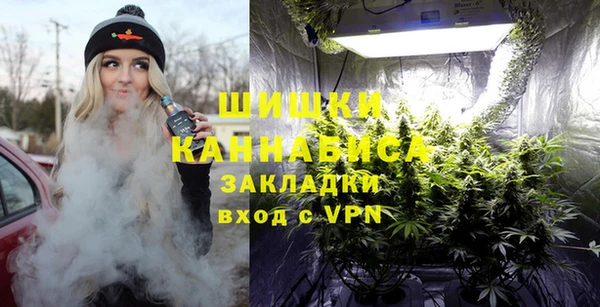шишки Беломорск