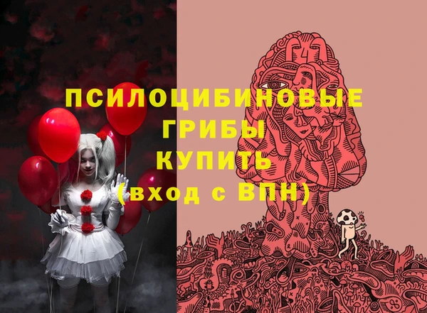 тгк Белокуриха