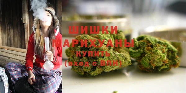тгк Белокуриха