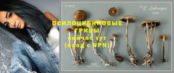 тгк Белокуриха
