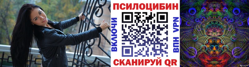 Галлюциногенные грибы Psilocybe Горнозаводск